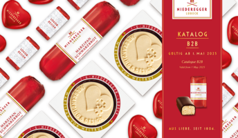 B2B Kataloge